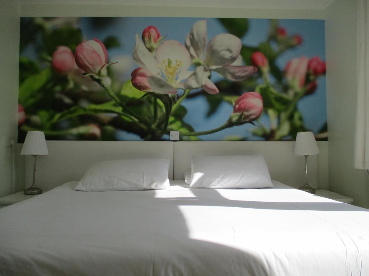 Hillview Bed And Breakfast Chestfield Extérieur photo
