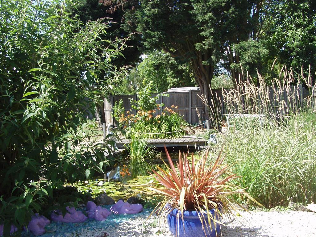 Hillview Bed And Breakfast Chestfield Extérieur photo