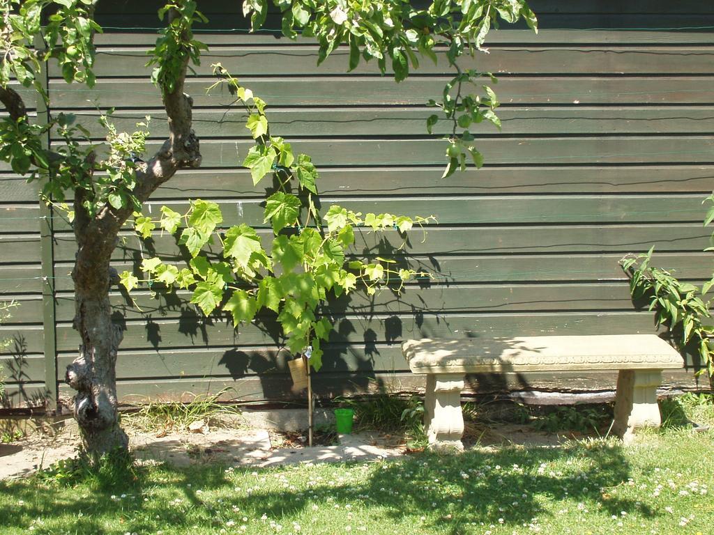 Hillview Bed And Breakfast Chestfield Extérieur photo